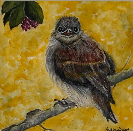 Shelly Grant Picture Shelly Grant Picture